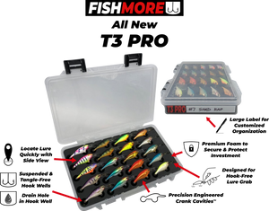FishMore Company