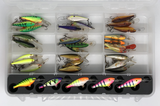 Top view of FishMore Favorites Bar Tackle Insert fitting Rapala Shad Rap size SR05 lures in Plano 3700 size box